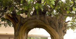 Tree Library