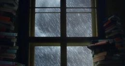 Rained on Library