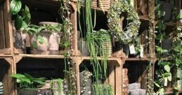 Plants Library