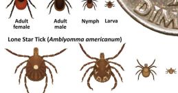 Tick Library