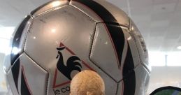 Soccer Library