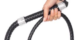 Chain whip Library