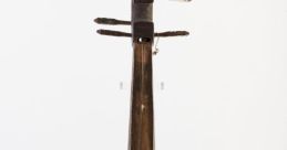 Long neck lute Library