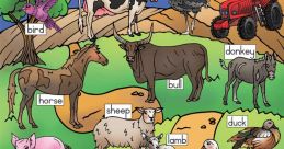 Farm Animals Library