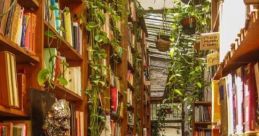 South America Library