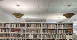 38 Library