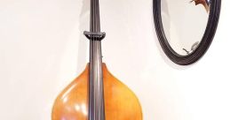 Upright bass Library