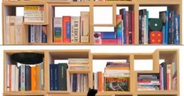 Feline Library