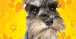 Schnauzer Library