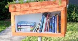 Small rock Library