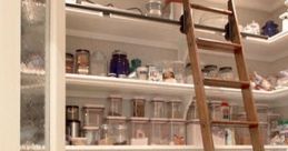 Pantry door Library
