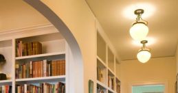 Hallway Library