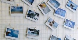 Polaroid Library