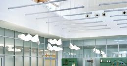 Gymnasium Library
