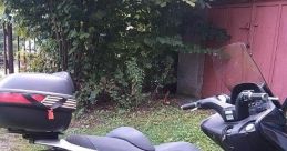 Kymco Xciting 250 2005 Library