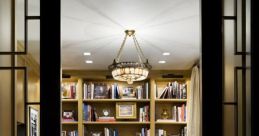 Pocket door Library