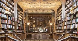 Snarl Library