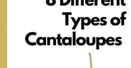 Cantaloupe Library