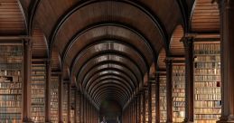 Le mans Library