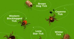 Ticks Library