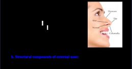 Nasal Library