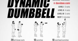 Dumbbell Library The of Dumbbell S Library are a cacophony of weightlifting activities and movements. From the dull thud of