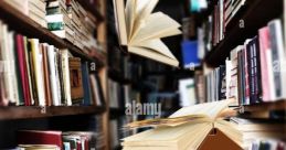 Flying by Library If you close your eyes and listen closely, you can hear the swooshing of a Whoosh passing by. It is a