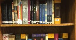 Rev Library In Rev's Library, you can immerse yourself in a world of captivating that will transport you to different