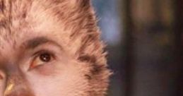 Cat and Andrew
