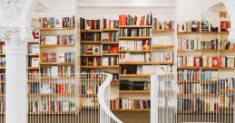 Crazy Library