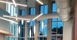 Dynamic Library