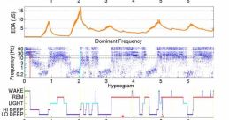 Deep Sleep Library