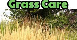 Crunching Grass Library