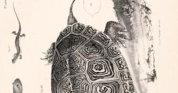Reptile Creature Library