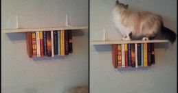 Invert Library