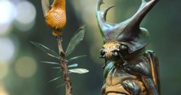 Insect Creature Library The Insect Creature's Library houses a plethora of intriguing that would pique the curiosity of any