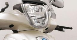 Piaggio Beverly 251 2010 Library