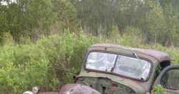 Junk Car Library