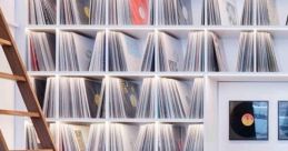 Vinyl record Library