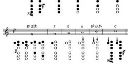 B note Library