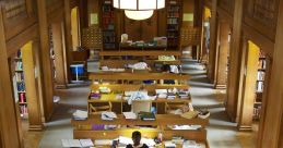 Major Library The library was filled with the harmonious of various al instruments, creating a symphony of melodies that