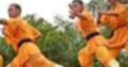 Kung Fu Library The Kung Fu Library is a treasure trove of that transport you to the heart of a martial arts battle.