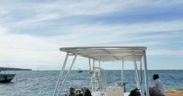 Dive Boat Library