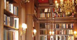 Distressed Library
