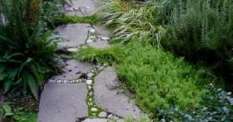 Stone Path Library