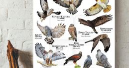 Hawk Library The that can be heard at Hawk's Library are a unique blend of nature's symphony. From the piercing call of the