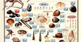 Mollusk Creature Library The Mollusk Creature's Library is a treasure trove of otherworldly that will transport you to a