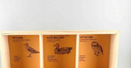 Bird calling Library