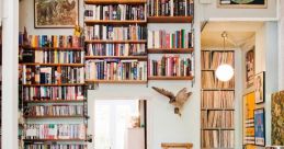 Coin drop Library The Coin drop S Library offers a wide array of that can transport you to different environments and
