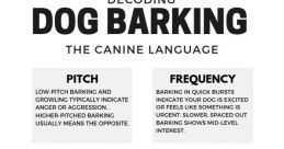 Dog barks Library